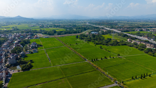 Aerial view of lush green rice fields bordering a residential village and highway