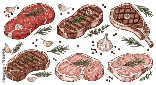 Hand-Drawn Delicious Raw and Grilled Beef Steaks with Herbs and Garlic, Assorted Cuts