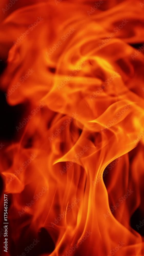 Red fire flames moving in the wind. Blaze in the darkness isolated. Close up. Vertical video