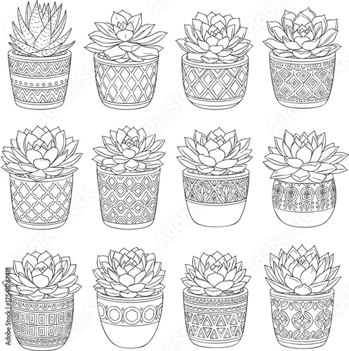 A collection of twelve handdrawn succulent plants in intricately patterned pots coloring book style.