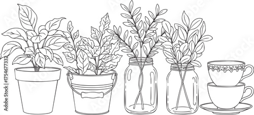 A handdrawn line art illustration of houseplants in pots jars and stacked teacups.