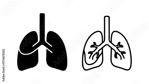Human lungs anatomy with transparent background