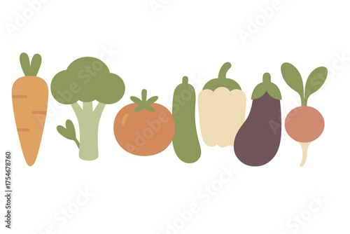 Colorful row of fresh organic vegetables including carrot broccoli tomato cucumber pepper eggplant and radish