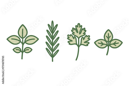 Set of culinary herbs including basil rosemary and parsley leaves