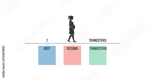 A graphic illustration showcases a pregnant woman progressing through the three trimesters, symbolizing the developmental stages of maternal health.