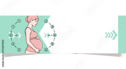 A modern vector illustration depicts a pregnant woman's journey, highlighting the various stages of prenatal development with a clear infographic design.