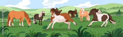 Pony herd in pasture, summer country nature landscape. Foals, small horses grazing, running and frolicking on grass field in countryside, rural equine farm, ranch panorama. Flat vector illustration.