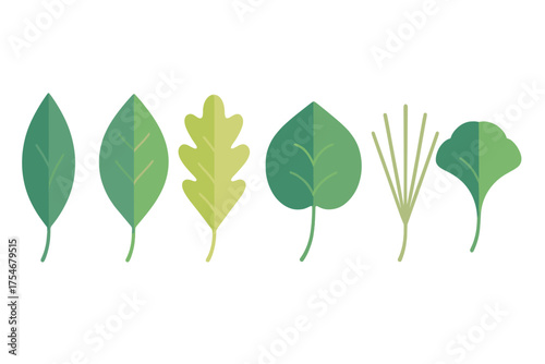 Set of various green plant leaves and foliage representing different tree and herb species
