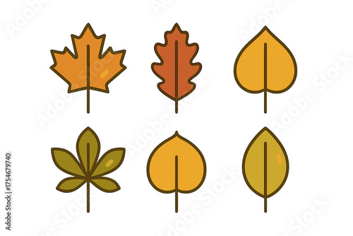 Collection of six stylized autumn leaves icons showing various tree foliage shapes in fall colors