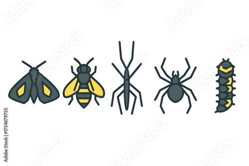Collection of common insects and arthropods: moth, bee, stick bug, spider, and caterpillar