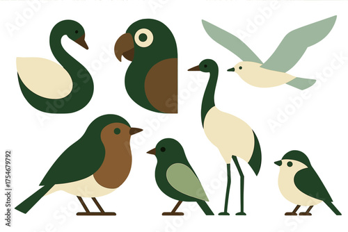 Stylized set of wild birds including swan, parrot, seagull, crane, and songbirds
