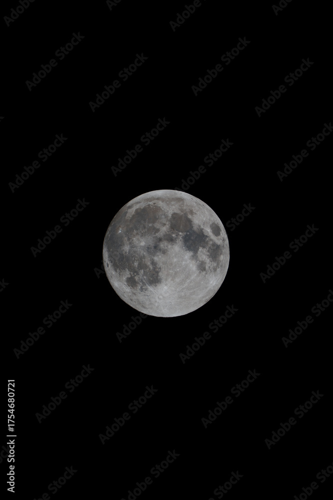 Naklejka premium The Moon
