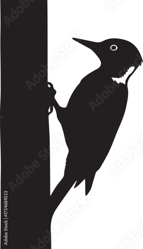 Silhouette of a woodpecker clinging to a tree trunk in a striking black and white image