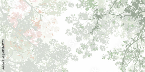 Soft focus view looking up through delicate tree branches and leaves against a bright white sky