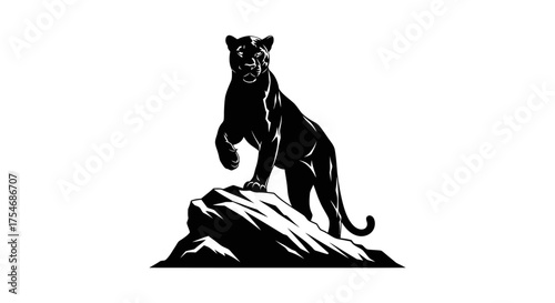 Black panther standing on a rock