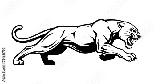 Angry panther crawling