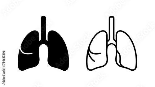 Human lungs anatomy with transparent background