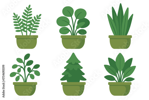 Collection of six potted green houseplants and a decorative miniature evergreen tree