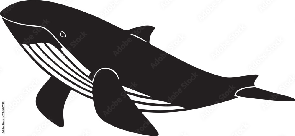 Fototapeta premium silhouette of a shark