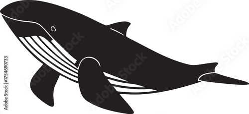 silhouette of a shark