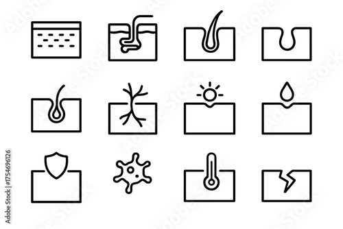 Skin Function Icon Set. The Function of the Skin. Line outline icon set of The Function of the Skin: epidermis