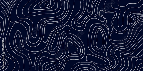 Elegant abstract background featuring organic, flowing white contour lines on a deep navy blue. Evokes a topographic map or natural patterns, perfect for modern design.