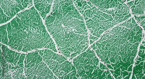 Green surface with white crackle texture detail