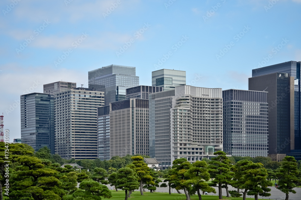 Fototapeta premium Skyline of Tokyo