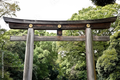 Cuadro en lienzo Torii of Meiji Jingu / Gateway in Tokyo
