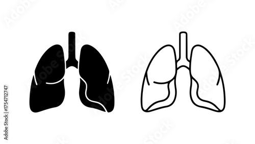 Human lungs outline and solid with transparent background
