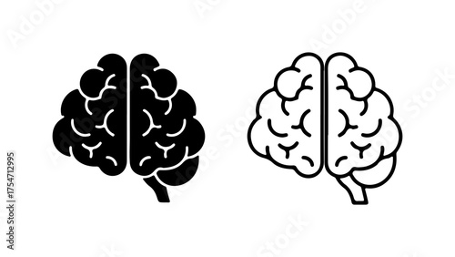 Brain anatomy outline and solid with transparent background