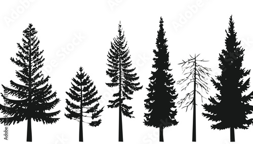 A vector silhouette set of evergreen forest plants including fir and pine trees for winter holiday decorations