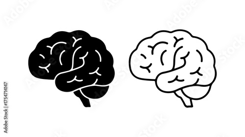 Brain anatomy outline with transparent background