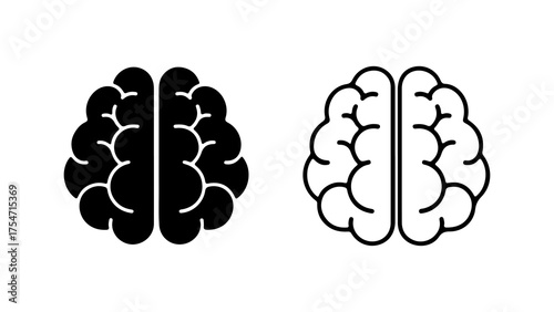Brain hemispheres outline with transparent background