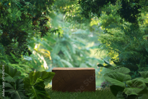 Wood podium stand in tropical forest nature background.natural product pedestal wooden modern stage display,jungle paradise concept.