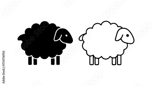 Black and white sheep with transparent background