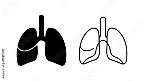 Human lungs outline with transparent background