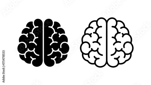 Human brain outline with transparent background