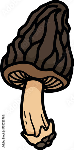 Morel mushroom illustration unique spring foraging edible delight vector