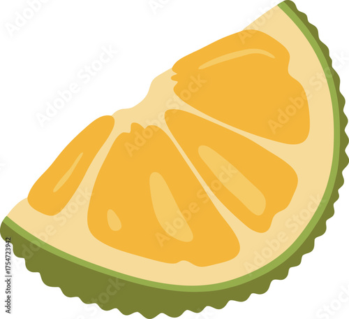 Vibrant citrus slice freshness yellow orange juicy food illustration vector