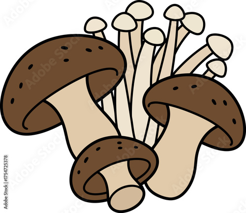 Fresh shiitake and enoki mushrooms organic harvest food ingredient illustration vector