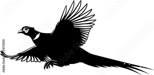Flying pheasant silhouette. A black silhouette of a pheasant in flight with wings spread wide and a long, elegant tail. Vector clipart black illustration design.
