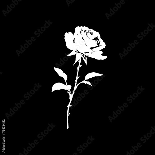 Elegant white rose illustration with stem and leaves, contrasting sharply on a solid black background. Minimalist floral graphic.