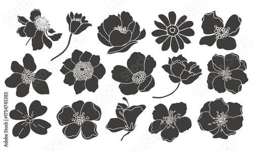 Set of black flower silhouettes. Hand-drawn floral design. Vector illustration