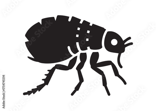 Flea icon, Flea solid vector