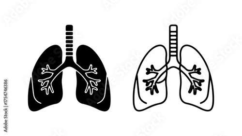 Human lungs anatomy with transparent background