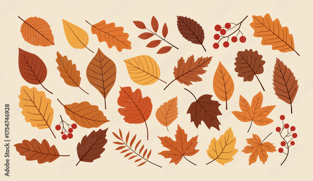 Fototapeta premium Colorful collection of various autumn leaves.