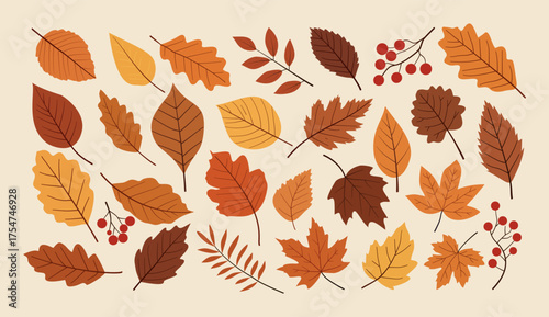 Colorful collection of various autumn leaves.