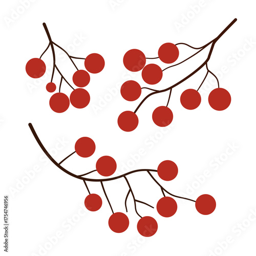Isolated collection of decorative autumn berry sprigs.