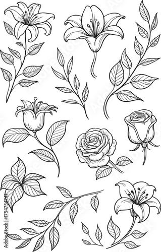 Elegant black and white line art illustration of roses and lilies with leaves, detailed floral drawing for tattoo or design decoration